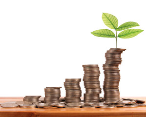 Investment growth financial success business concepts indoor close-up view prosperity journey