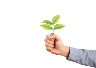 Sustainable growth initiative young plant holding urban environment nature photography close-up viewpoint eco-conscious concept