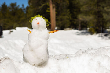 Snowman With Green Accents Decorates Winter Landscape in Bright Sunshine