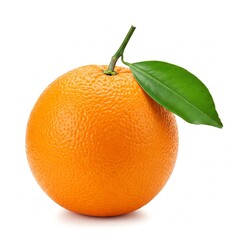 オレンジの写真