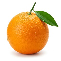 オレンジの写真