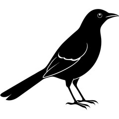 Bird Silhouette - Minimalist Black and White Vector Illustration. 
