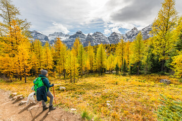 Beautiful fall time scenic views at Sentinal Pass, Larch Valley during September with light snow covering the incredible landscape in northern Canada, Banff National Park. Bright yellow trees in view.