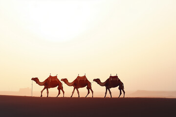 Fototapeta premium Group of camel tour in desert dune at day time.