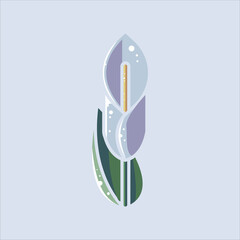 Calla Lily Flower Nature Illustration