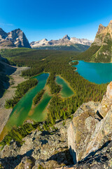 Staggering mountain scenes at Lake O'Hara during summer time with incredible turquoise lakes in scenic alpine aqua lake scene in the Canadian Rockies of Canada, Alberta, British Columbia. 