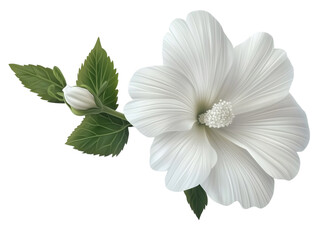Des illustrations florales détaillées en format PNG transparent. généré par l'IA génératif