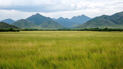Obraz premium Lush Green Meadow with Mountains Under a Cloudy Sky in Nature