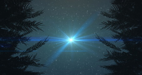 Fototapeta premium Image of glowing spot flickering and disappearing on night sky with stars surrounded by trees