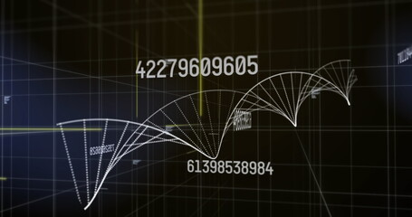 Digital image of multiple changing numbers floating against dna structure spinning