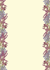 Vertical template for text with dry pressed wild flowers borders on pale yellow background.