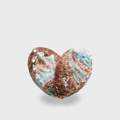Shiny Shell of abalone as heart with natural texture, closeup seashell isolated on white...