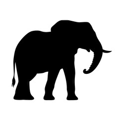 Obraz premium Elegant Elephant Silhouette Minimalist African Animal Outline