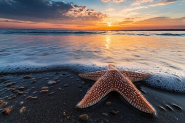 fotografÃ­a Del Mar fondo marino y cielo, mitad y mitad --ar 3:2 --style raw --v 6.1 Job ID: cdd95f22-72e4-4e7b-9798-ed3f0cc83b33