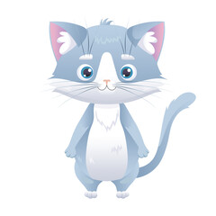 Cute gray cat vector character isolated. Domestic gray cat with white belly