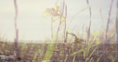 Summer grass over digger in rubbish disposal site