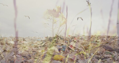 Image of grass moving over waste disposal site