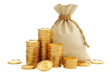 Wealth, riches, prosperity, financial success concept.  Gold coins and money bag.