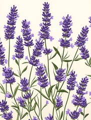 Naklejka premium Lavender Blossoms Illustration.