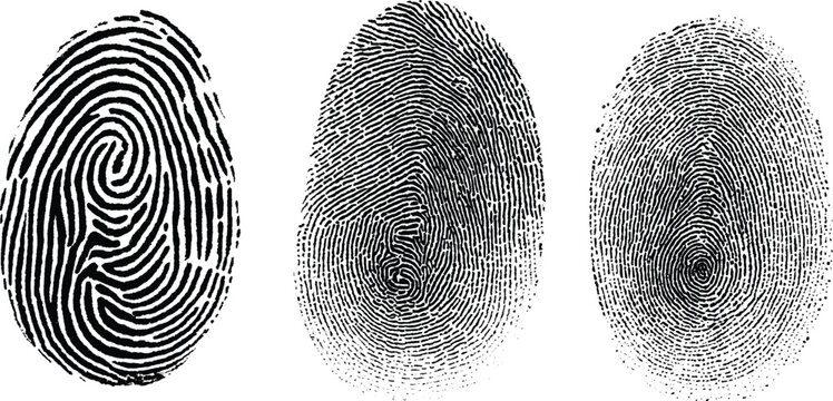 Finger print id authentication symbol set. Biometric, identity icon set. Fingerprints icon set vector isolated