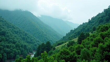 Naklejka premium Lush green forests and mist-covered mountains in Georgia after a rainy day, destination, Georgia