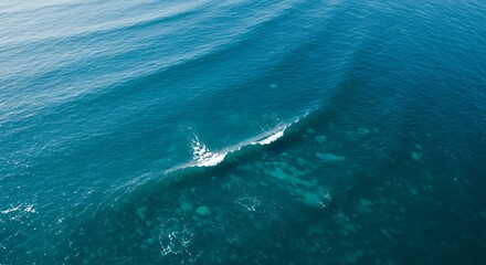 Ocean Wave Breaking Top Down View with Turquoise Blue Water