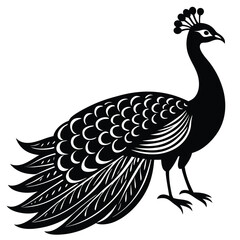 Fototapeta premium Adobe IllustrPeacock Vector Shilhouette Bundle Set Collectionator Artwork