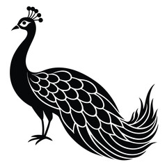 Adobe IllustrPeacock Vector Shilhouette Bundle Set Collectionator Artwork