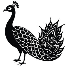 Adobe IllustrPeacock Vector Shilhouette Bundle Set Collectionator Artwork