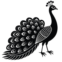 Fototapeta premium Adobe IllustrPeacock Vector Shilhouette Bundle Set Collectionator Artwork