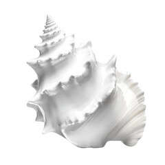 White conch shell isolated on a transparent background	
