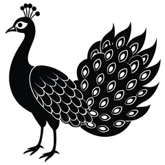 Adobe IllustrPeacock Vector Shilhouette Bundle Set Collectionator Artwork