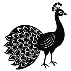 Adobe IllustrPeacock Vector Shilhouette Bundle Set Collectionator Artwork