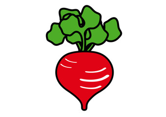 シンプルでかわいいラディッシュ　冬野菜のイラスト素材