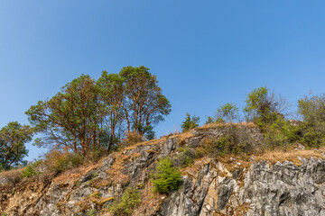 rocky mountain with trees and vegetation sunny landscape on summer day
