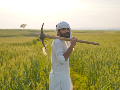 A Pakistani Indian farmer in white traditional attire stands in a lush wheat field, carrying a pickaxe over his shoulder at sunset.