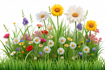 3d render of spring flowers in the grass isolated on white background. Generative AI