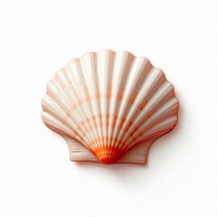 Fototapeta premium Delicate pink seashell on a white background, perfect for coastal themes, marine decor, and beach-inspired projects. transparent background