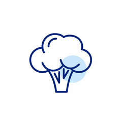Broccoli. Vegetables fresh off farm. Groceries shopping, vegetarian diet. Healthy eating. Pixel perfect, editable stroke vector icon