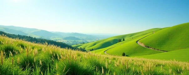 Tranquil countryside scene with rolling hills and tall grasses under a clear blue sky,  green,  rural