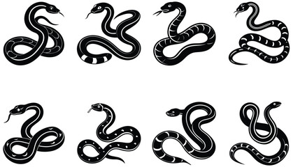 Obraz premium Tree Snake Vector Shilhouette Bundle Set Collection. Vipe Snake Vector Shilhouette Bundle Set Collection. Cobra Snake Vector Shilhouette Bundle Set Collection. Pytho Snake, Anaconda Snake