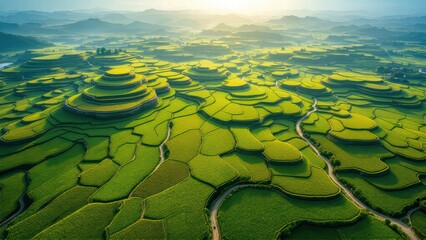 Flowing Greens: Stunning Rice Terraces from the Sky