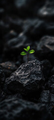 Bright Green Plant Sprouting from Dark Rocks Symbolizing Growth, Hope, and Resilience in Harsh Conditions