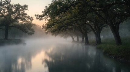 Fototapeta premium Mystical dawn river landscape with ancient oak trees shrouded in morning mist