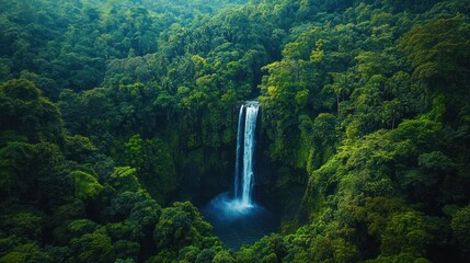 Lush rainforest canopy embracing a powerful waterfall cascading into a plunge pool