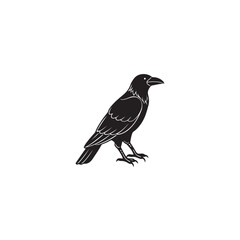 Obraz premium A minimalist silhouette of a raven, capturing the essence of mystery, intelligence, and the wild. Simple and bold design, suitable for various creative applications.
