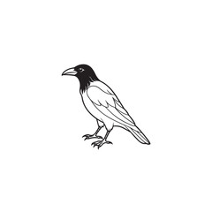  A detailed illustration of a raven, showcasing its sleek black feathers, sharp beak, and intelligent gaze, set against a simple background.