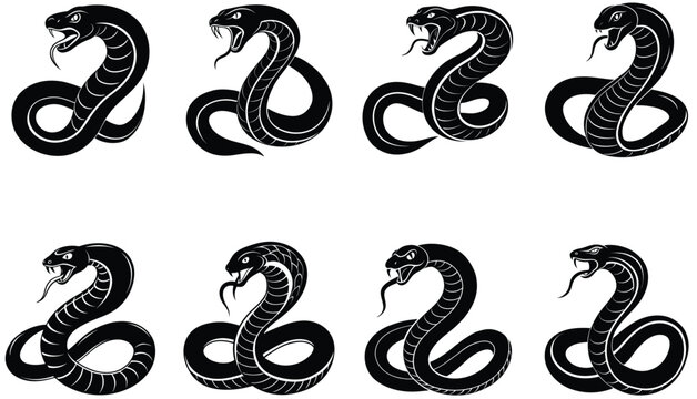 Tree Snake Vector Shilhouette Bundle Set Collection. Vipe Snake Vector Shilhouette Bundle Set Collection. Cobra Snake Vector Shilhouette Bundle Set Collection. Pytho Snake, Anaconda Snake