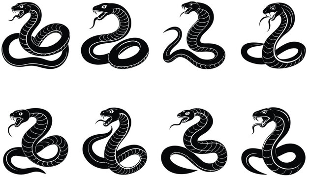Tree Snake Vector Shilhouette Bundle Set Collection. Vipe Snake Vector Shilhouette Bundle Set Collection. Cobra Snake Vector Shilhouette Bundle Set Collection. Pytho Snake, Anaconda Snake