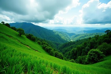 Obraz premium Vibrant green landscape of Honduras with lush forests and rolling hills, foliage, hills